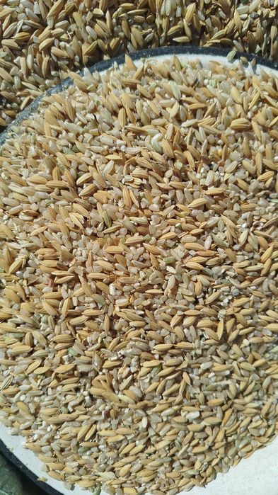 Виталийдің лақап аты порно