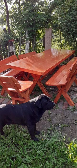 Mese.banci, scaune din lemn masiv