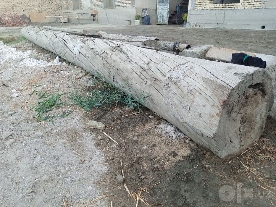 2 ta bolor sotiladi