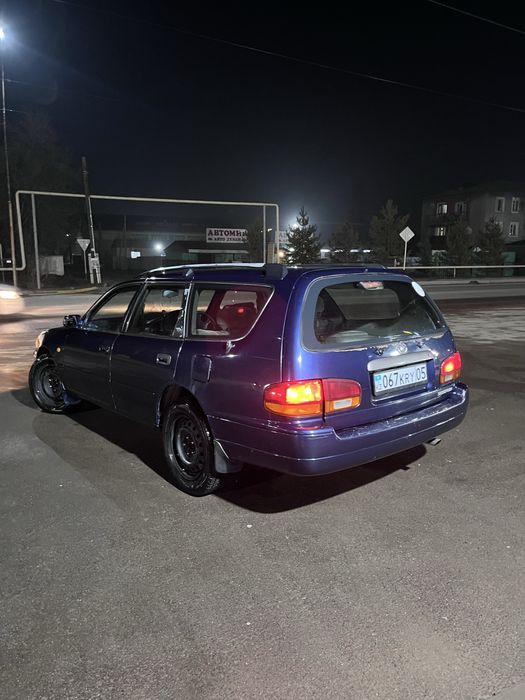 тайота скепто