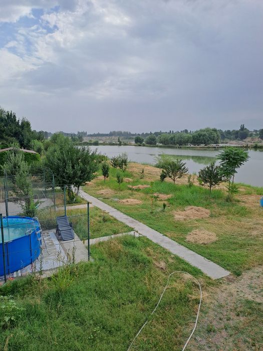 Рыбное хозяйство (готовый бизнес)