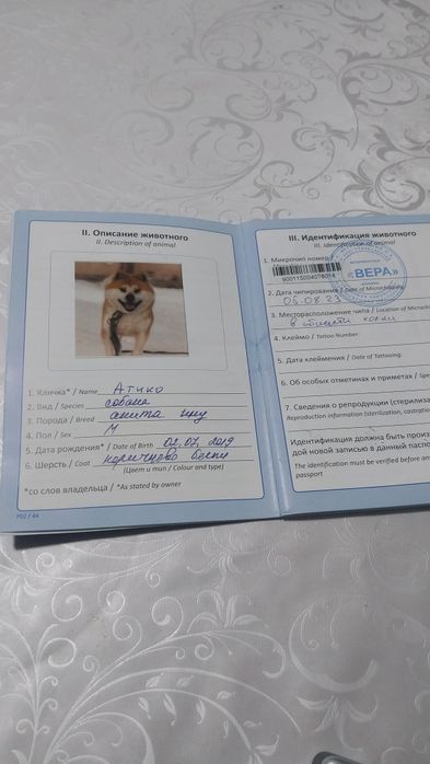 АкитоИну (ХАТИКО)