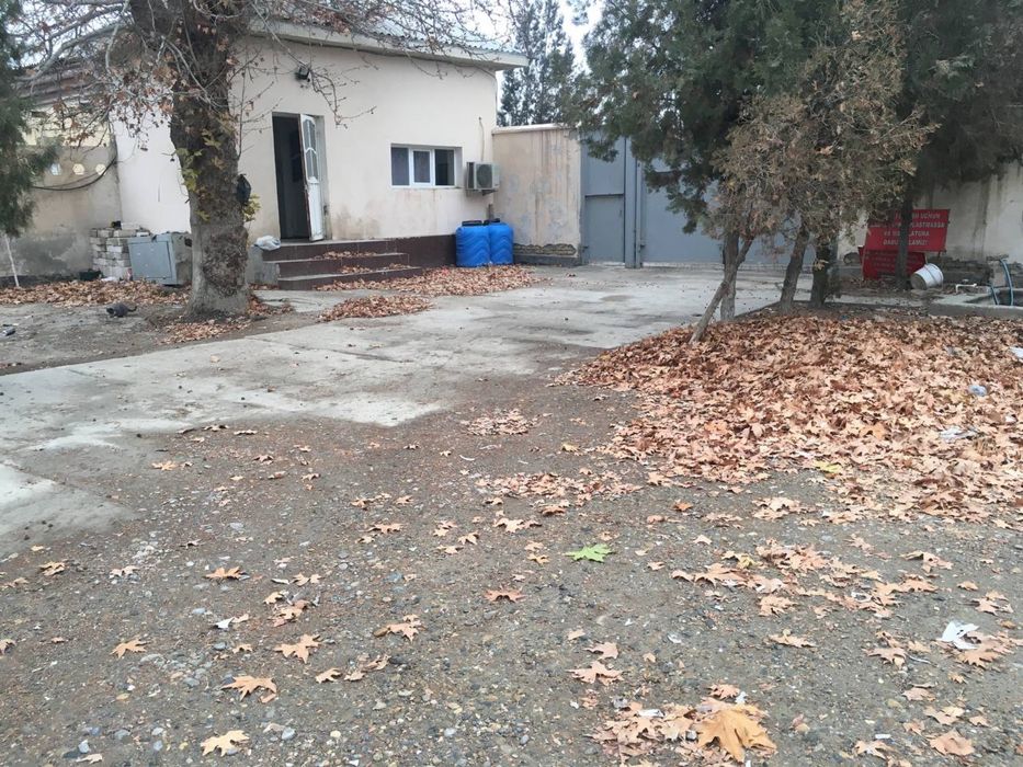 Baza ijaraga beriladi