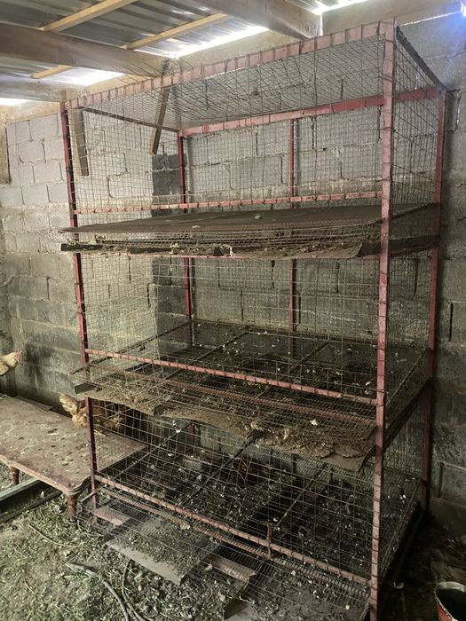 Клетка для кур несушек