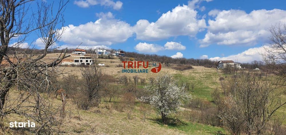 Teren 1654 mp zona Cetate Schit
