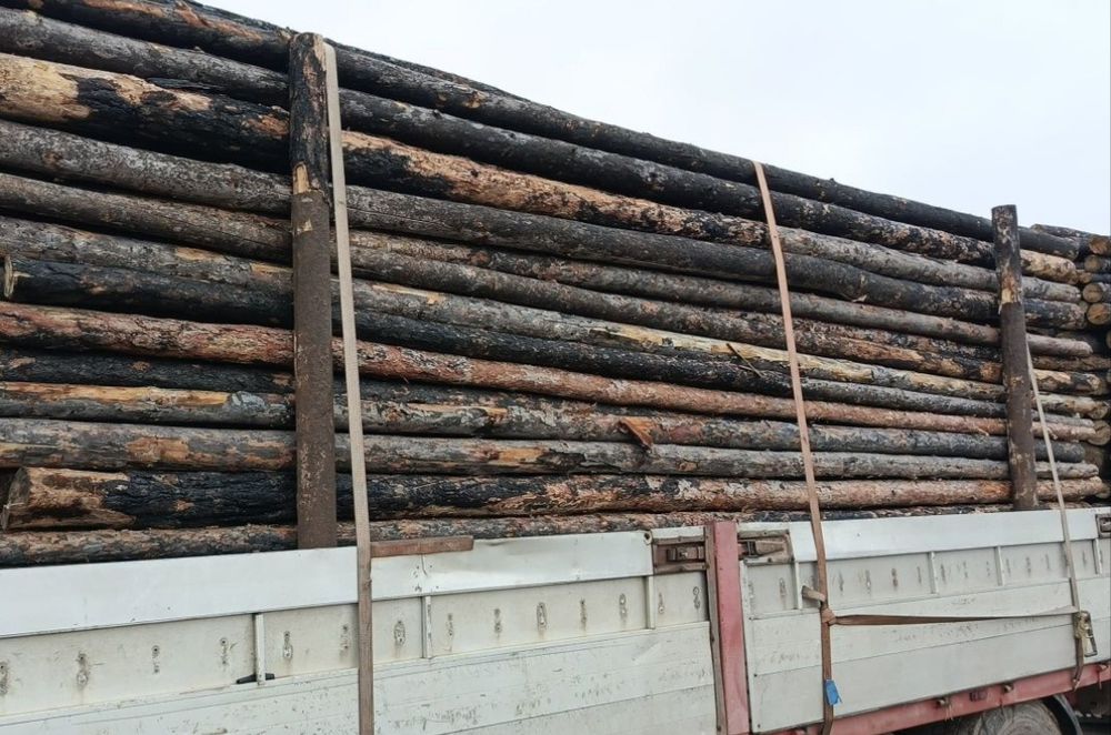 Строительство ремонт