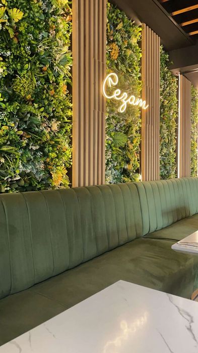 Суний газон чим фетоситина забор