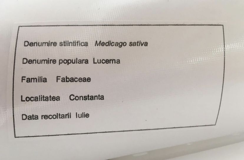 Ierbar scolar plante