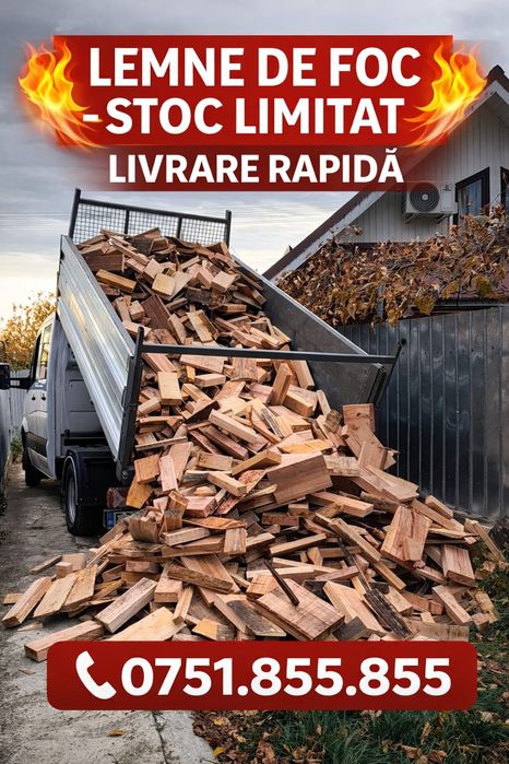 Lemne de foc Fag