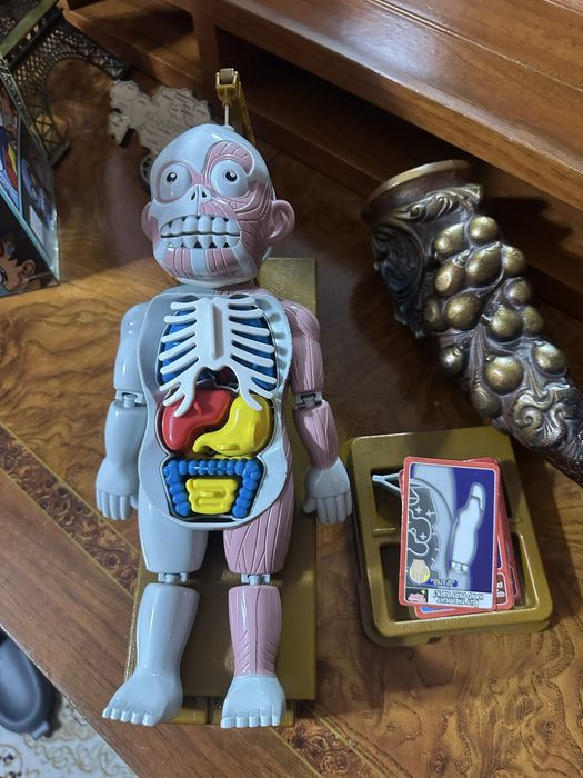 Развивающая игрушка ! Медицина