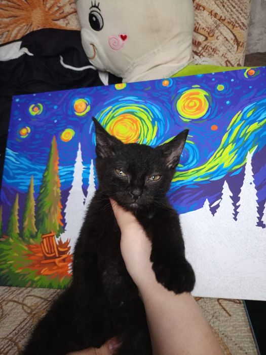 От дам мальчугана в хорошие руки