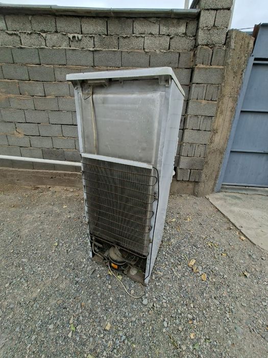 Холдиник  істеп тұр