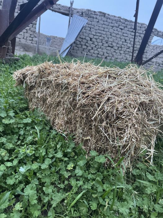 Самон пресс сотилади