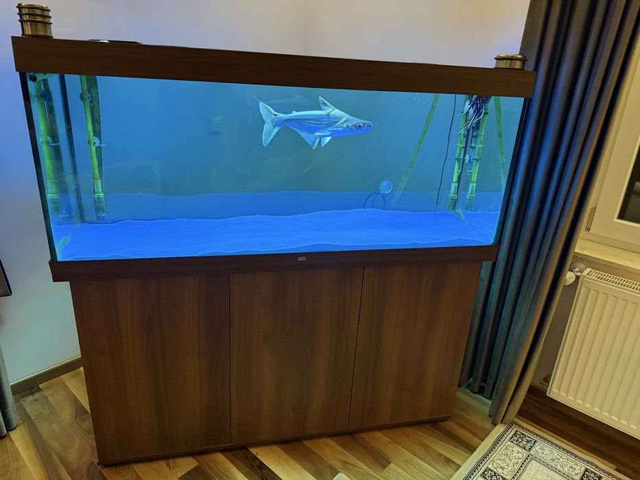 Acvariu Juwel led rio 450 maro