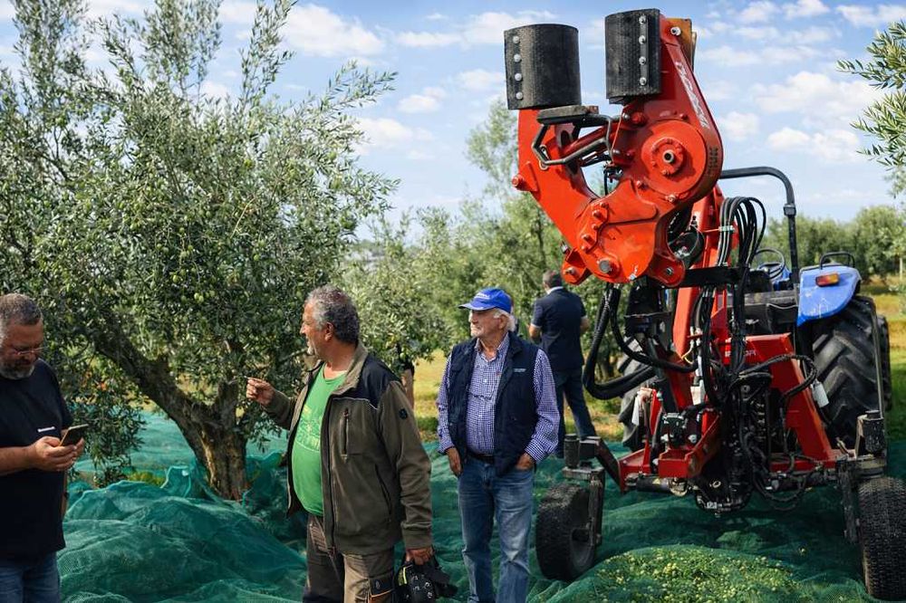 Scuturător cu braț pantograf pentru pomi fructiferi - nuci, alune