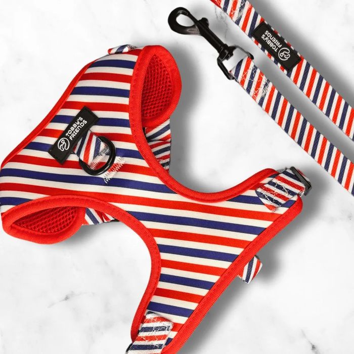 Кучешки нагръдник и повод - различни модели