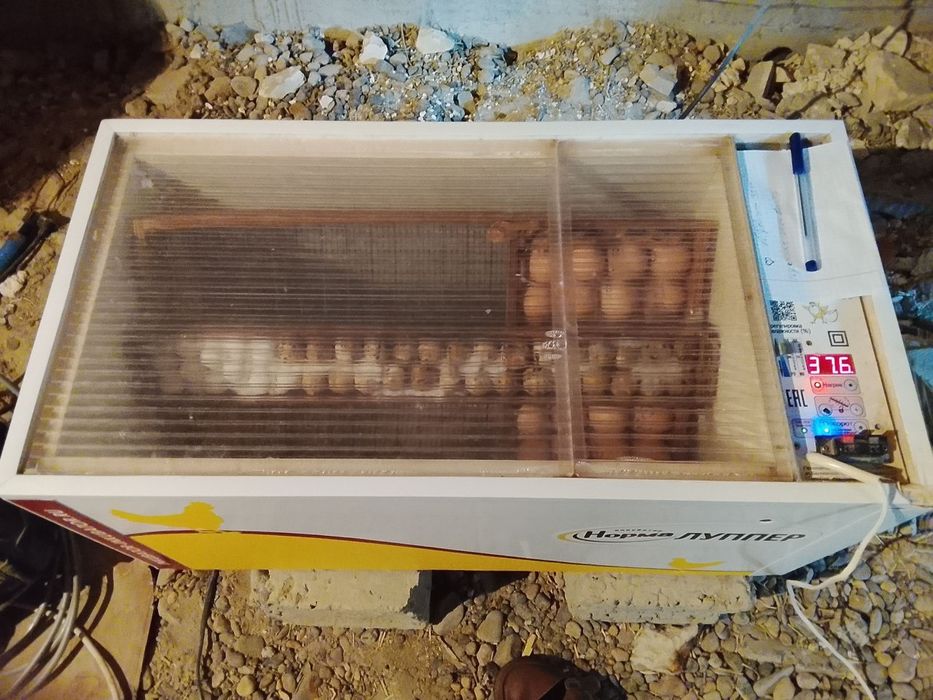 Инкубатор хизмати