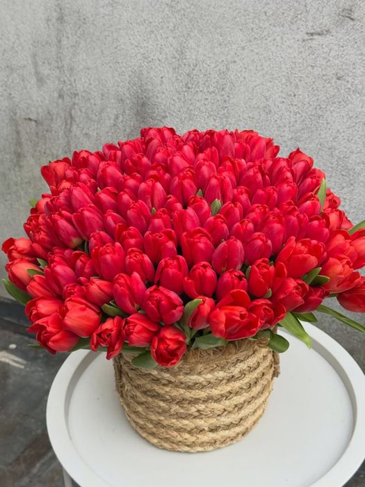 Тюльпаны в кашпо