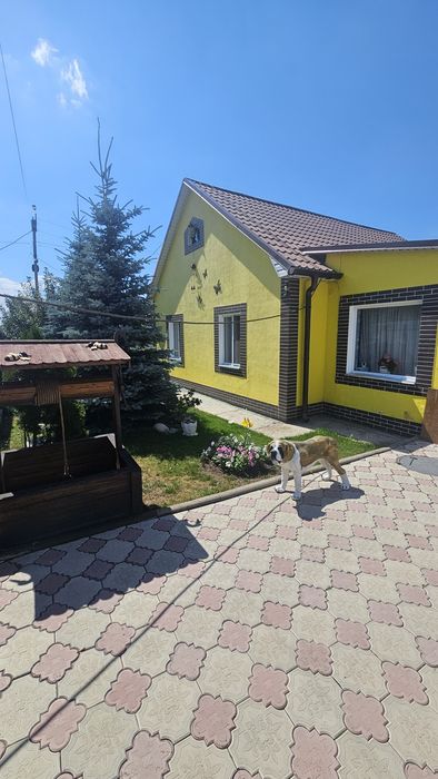 Дом на правом берегу