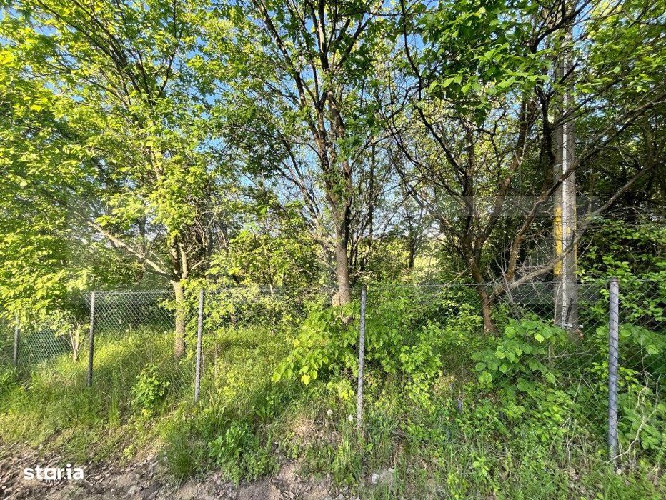 Teren intravilan ,cu vegetatie, 2700 mp, zona Siret