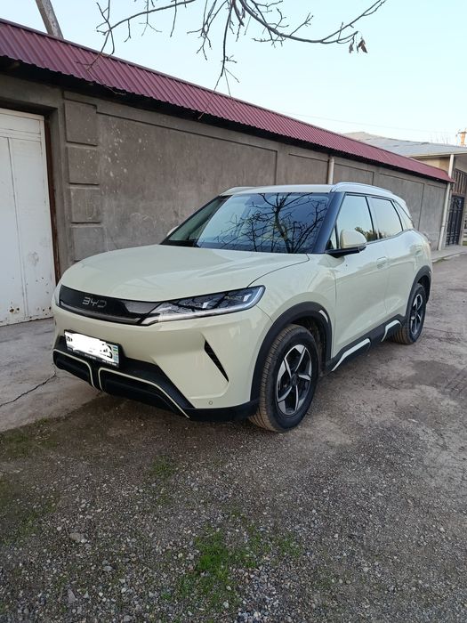 Byd yan up diler 2025