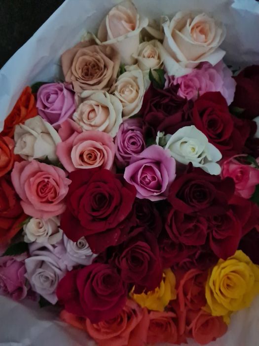 Розы ОПТОМ в пачках