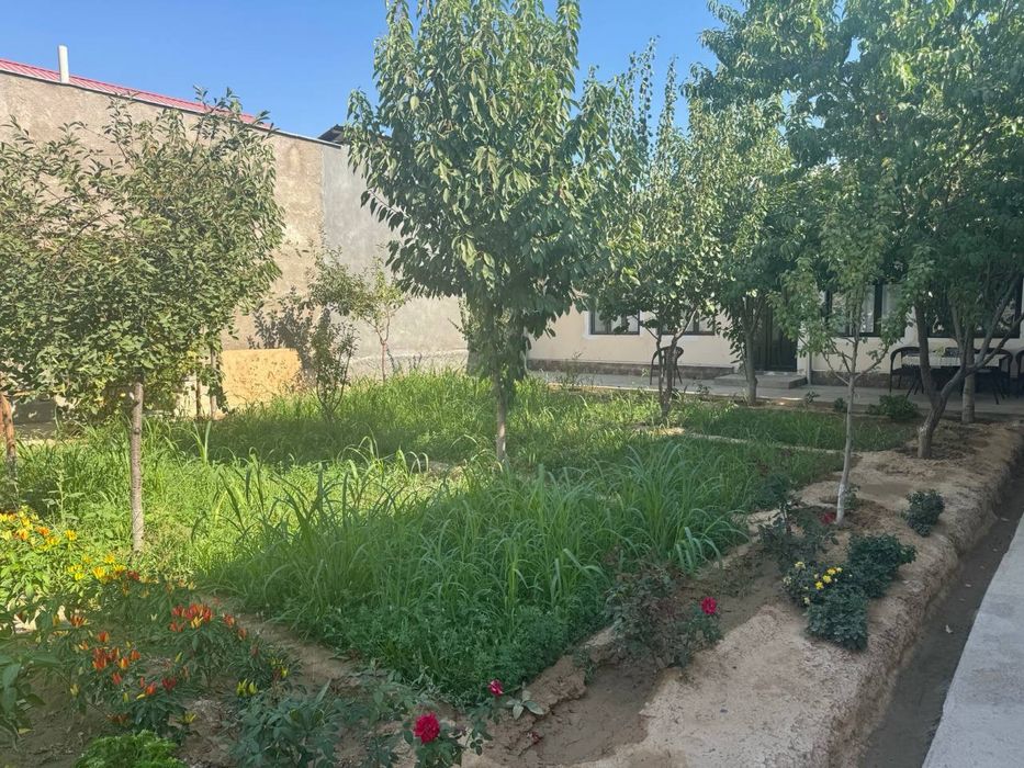 Уч кахромондан кирилади 5 км