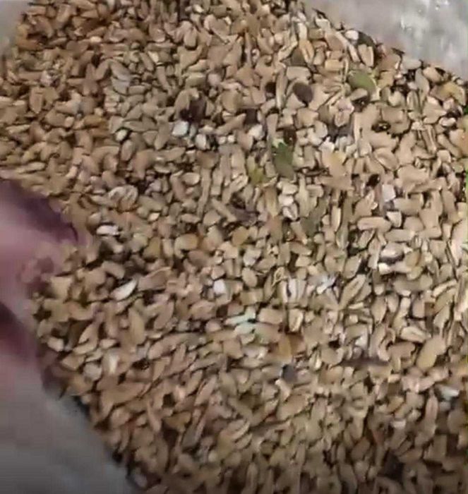 Отруби (кебек) пшеничные, пушистые, зерноотходы