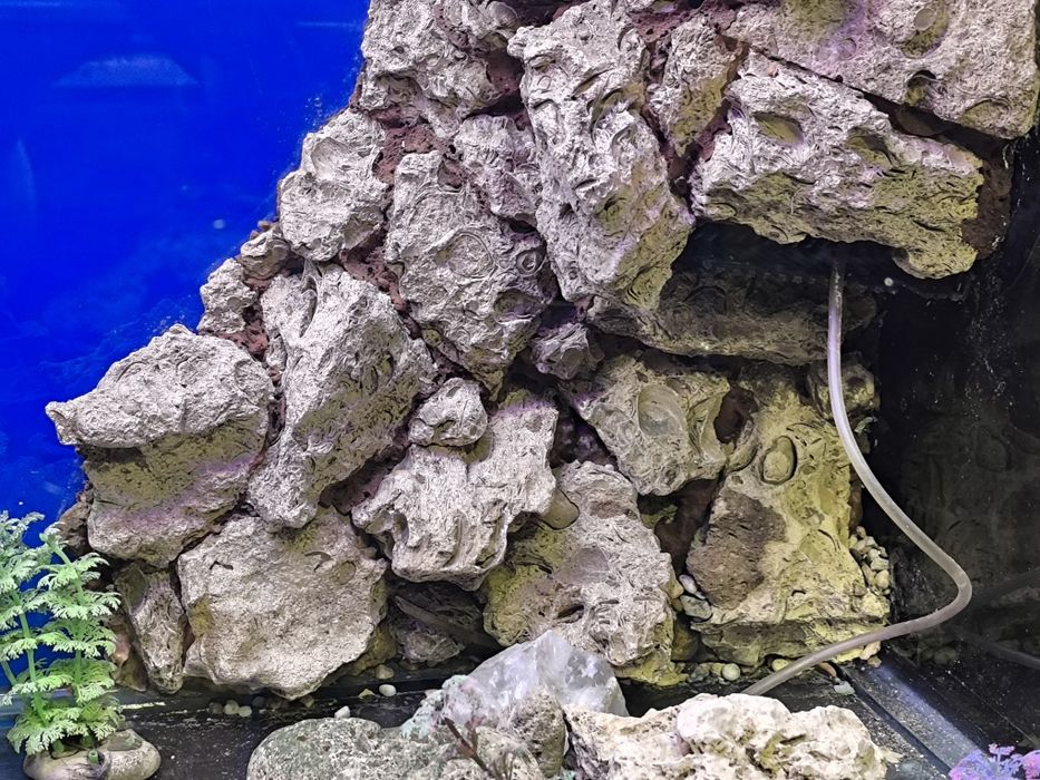 Аквариум на 350 литров