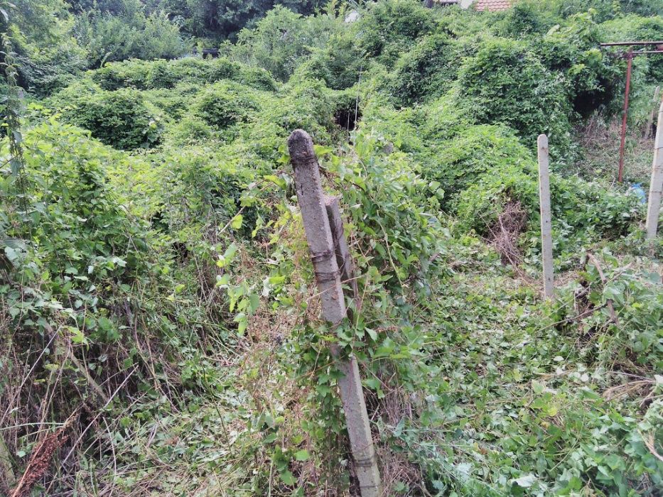 Косене -трева,храсти.Рязане на дървета.Извозване