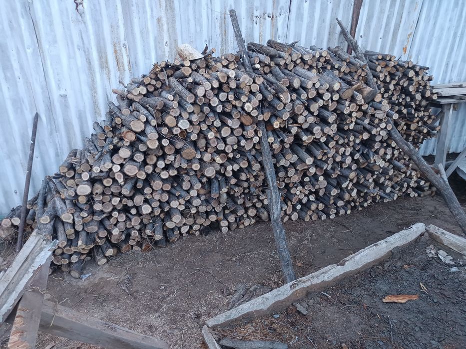 Сухие дрова, кругляки