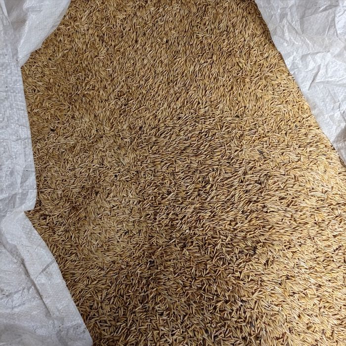 Ovãz de vânzarea 1,5