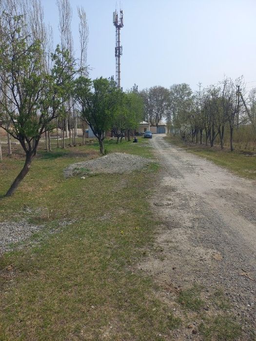 Нотурар жой. Молхона