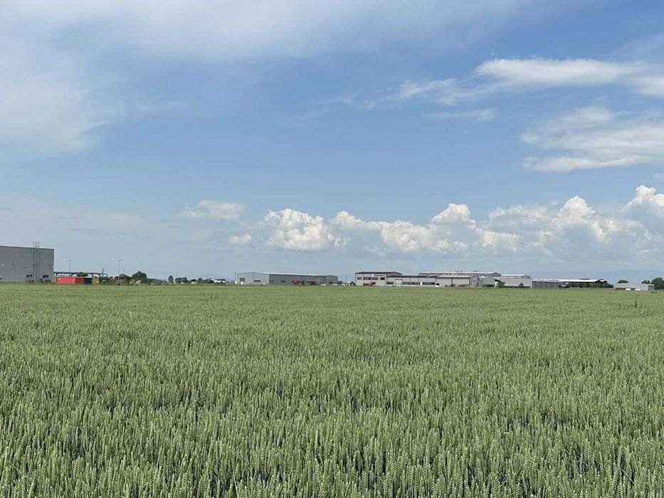 Продава се Парцел в Пловдив, Индустриална зона - Север - 33534 кв.м за 15 €/кв.м - Снимка #7