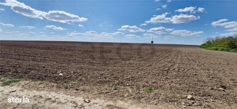 RECO Teren extravilan in Oradea 13000mp