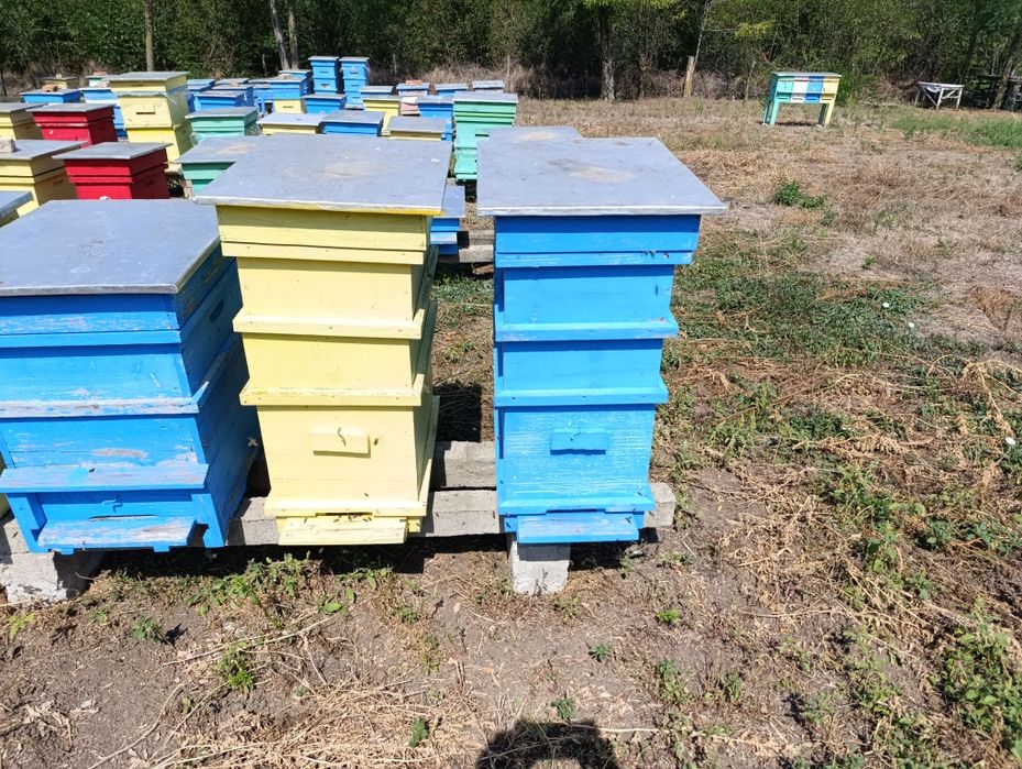 Пчелни кошери използвани