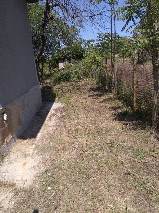 Косене на дворове, рязане на дървета за регион Варна