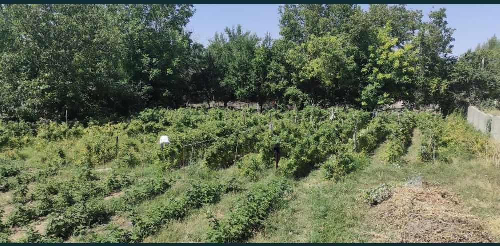 Участок 15 сотток