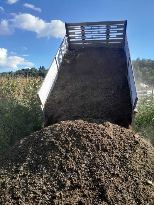 Ford transit basculabil