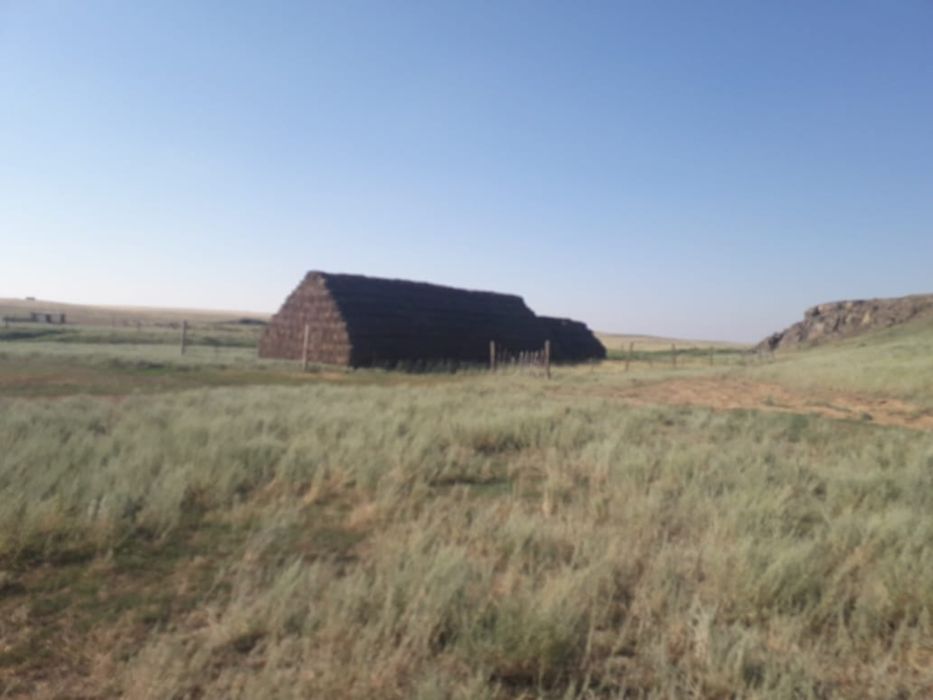 Крестьянское хозяйство