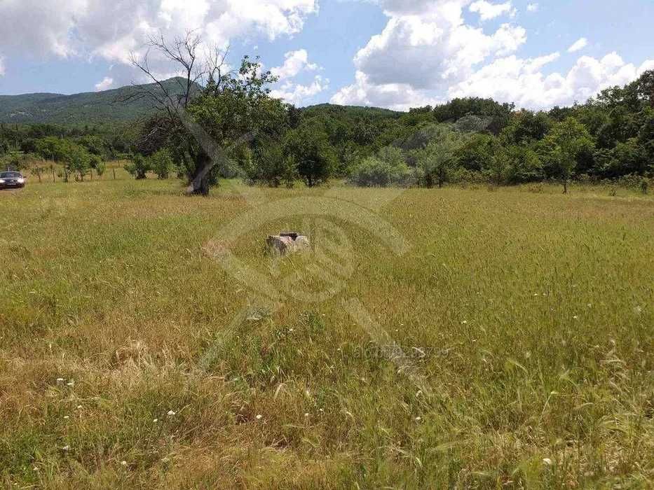 Парцел в с. Димчево