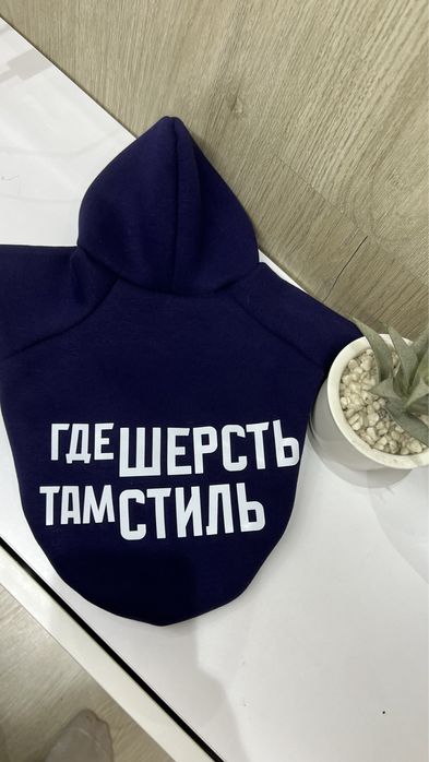 Одежда для собак