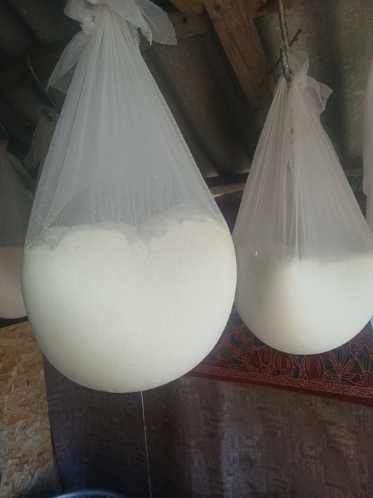 De vanzare cas din lapte de oaie inchegat cu cheag natural si urda dulce 30 lei kg