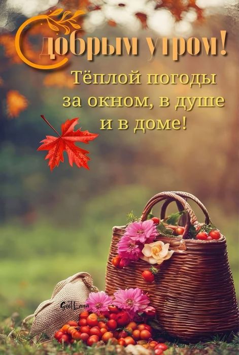 Пуховик - курта-пальто