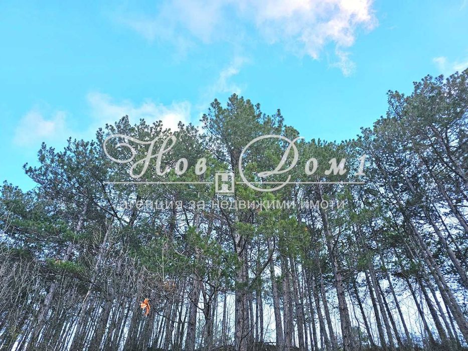 Продава се Двустаен апартамент в Варна, Виница - 62 кв.м за 905 €/кв.м - Снимка #10