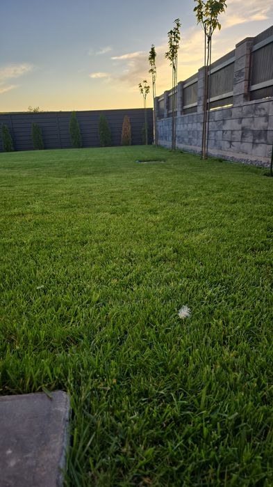 Amenajare/tuns/intretinere spatiu verde