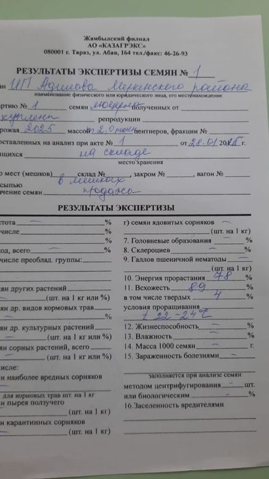 Семена люцерны Джеа / Семиречный