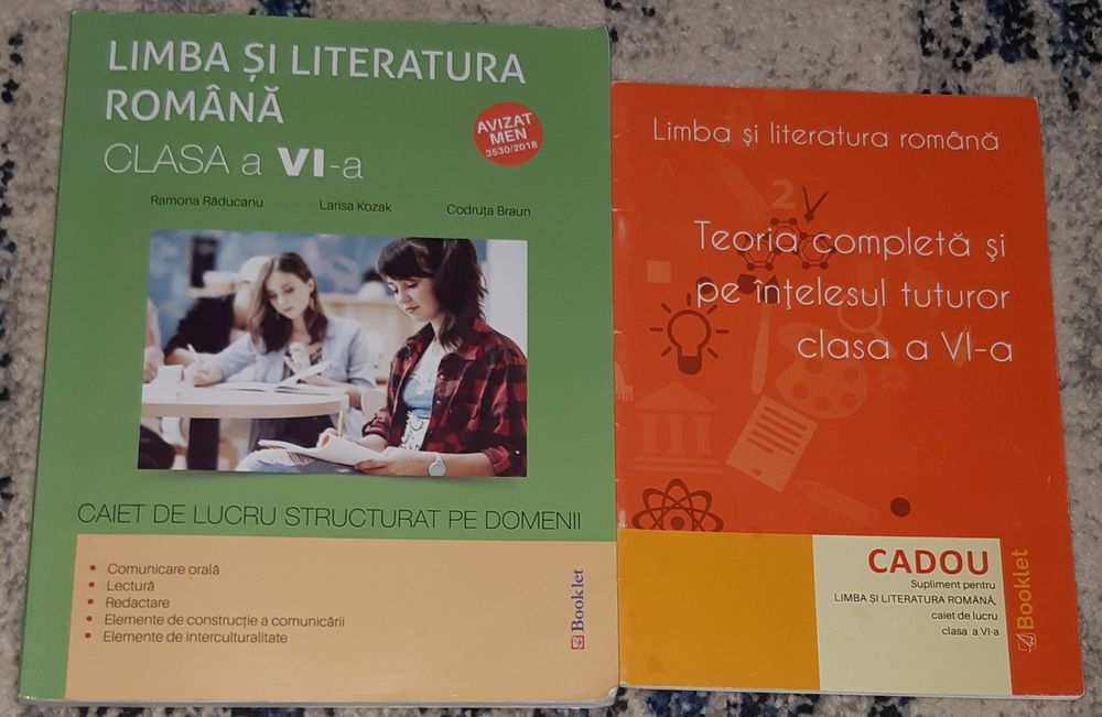 Manuale/Culegeri clasa a VI-a