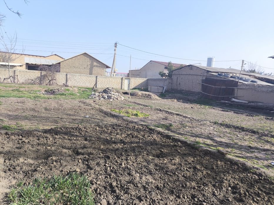 Hovli 6 sutixi sotiladi