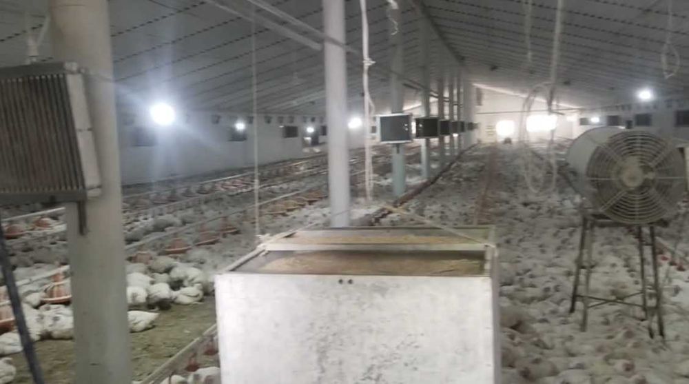 Продаются две фермы в Юкори чирчикском р-не (Ободон) 2,2га+1,02га